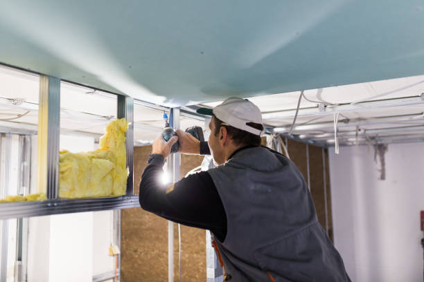 Best Geographic-Specific Insulation Services in Butte, MT