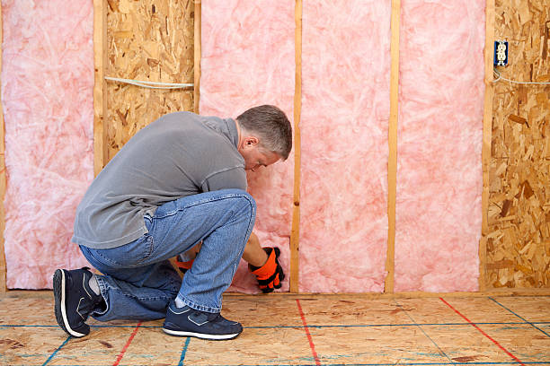 Best DIY Insulation Kits and Guidance in Butte, MT